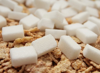 sucre