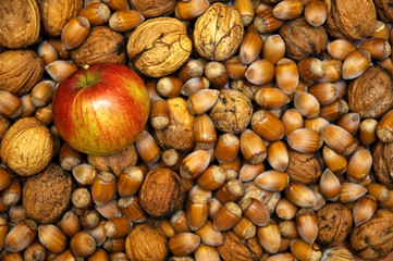 Apple and nuts