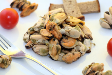 Miesmuscheln