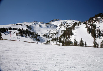 Fototapeta premium ski slopes at a califormia ski ressort