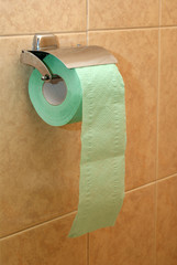 Roll of paper in the toilet