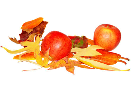 Fall devoration