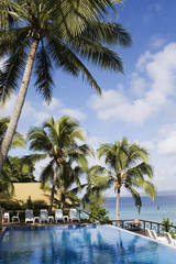 Fototapeta na wymiar Basen otoczony palmami w Vanuatu