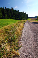 Naklejka premium road through summer countryside