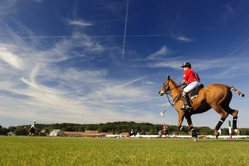OpenPoloFrance08_300