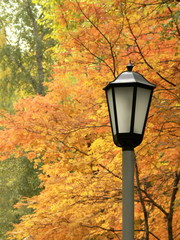 Naklejka premium Lantern against autumn yellow trees