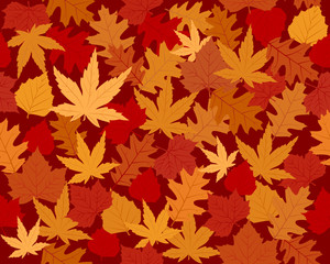 Naklejka na ściany i meble Seamless vector wallpaper of leaves in autumn colors