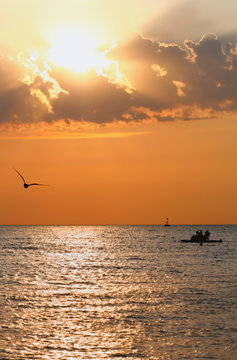 Sea landscape