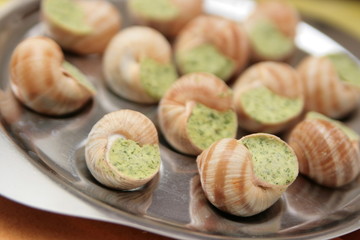 escargot de bourgogne