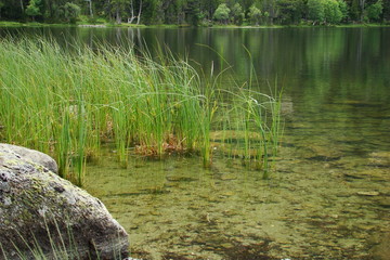 Lac de quérigut,Pyrénées ariègeoises