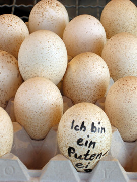 Ich bin ein Putenei