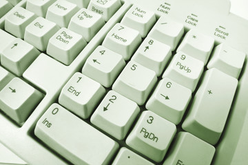 Close Up of Computer Keyboards in Green Tone