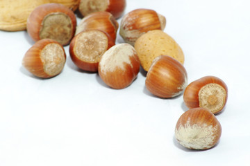 nüsse, walnuss, mandel, haselnuss