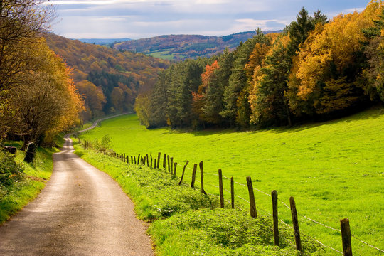 Automne