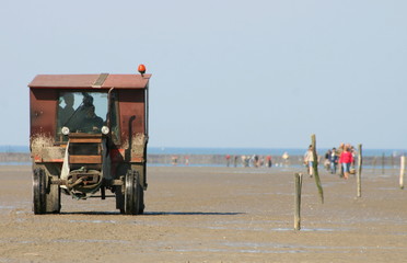 Obraz premium les grands marées