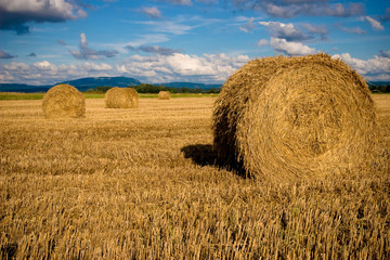 Botte de paille