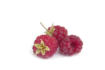 Himbeere - raspberry 15