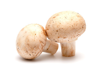Two mushrooms of a champignon on a light background