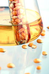 Bio-Fuel from Corn