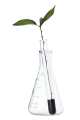 Bioengineering Crops Concept