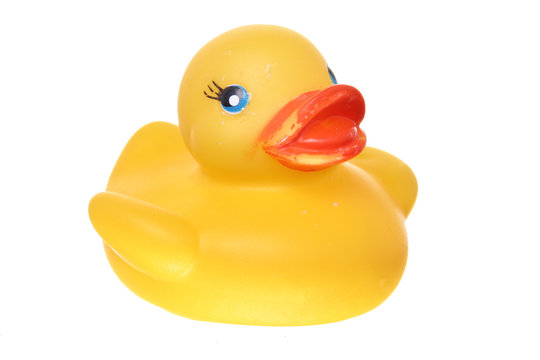 Classic squeek toy rubber ducky isolated on white ground