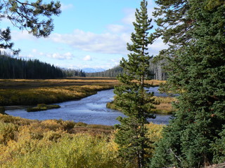 YellowtoneRiver