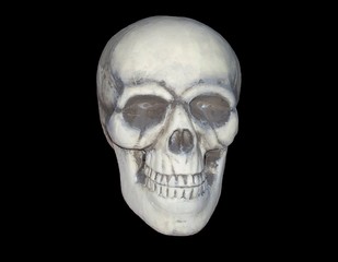 Isolated skull on black