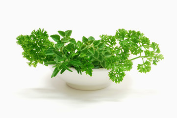 Fototapeta premium Fresh herbs