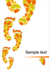 Autumn has come background