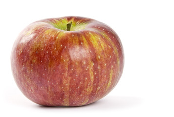 Cortland Apple Isolated on White