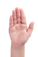 Child's right hand open palm on white background