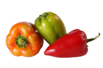 Multi-coloured pepper