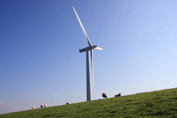 windmill and sheep on a dike - 9680832