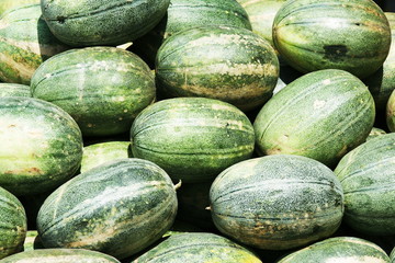 water-melon