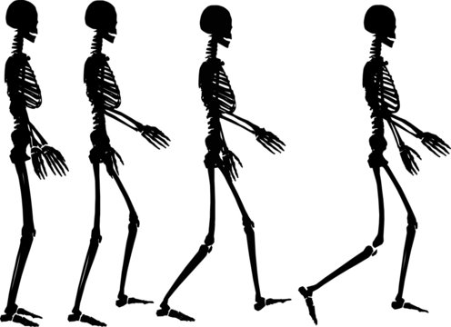 skeleton step