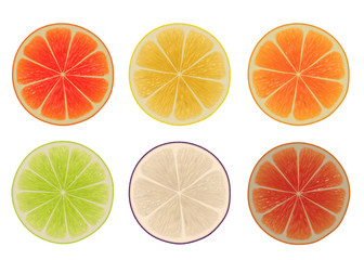 Citrus Slices Clip Art Isolated on a White Background