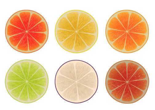 Citrus Slices Clip Art Isolated on a White Background