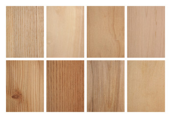 Set of eight wood textures: ash tree, aspen, cypresses