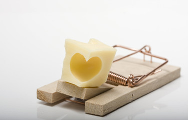 Lovetrap. Heart shaped cheese on mousetrap. Studio shot.