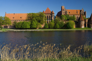 Fototapeta na wymiar Stary zamek w Malborku - Polska