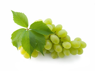 bunch of fresh grapes with leaf isolated on white