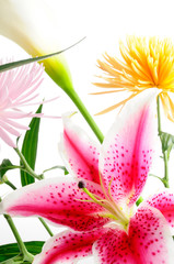 spring floral arrangement with assorted flowers isolated © roxxyphotos