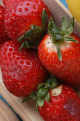 Fragole