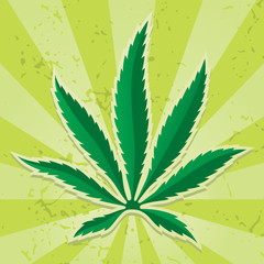 Cannabis leaf icon on grunge light green background