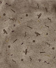 Ancient egyptian hieroglyphics design by the contributor