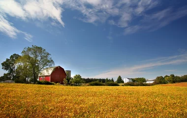 Zelfklevend Fotobehang Herfst Schilderachtig boerderijlandschap