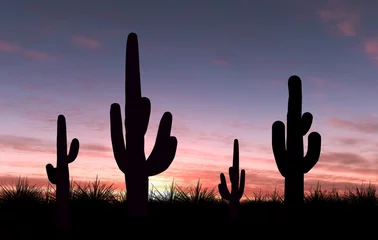 Türaufkleber Kaktus © TebNad