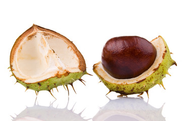Chestnuts isolated on white background