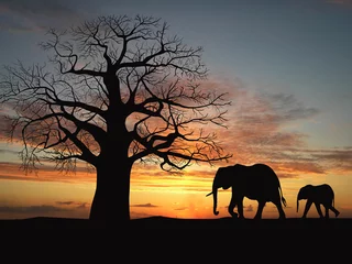 Abwaschbare Fototapete Zoo Elefantengruppe in Afrika