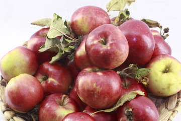 Äpfel zum reinbeissen